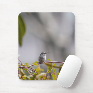 Hummingbird 3346 musmatta
