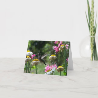 Hummingbird 4 kort