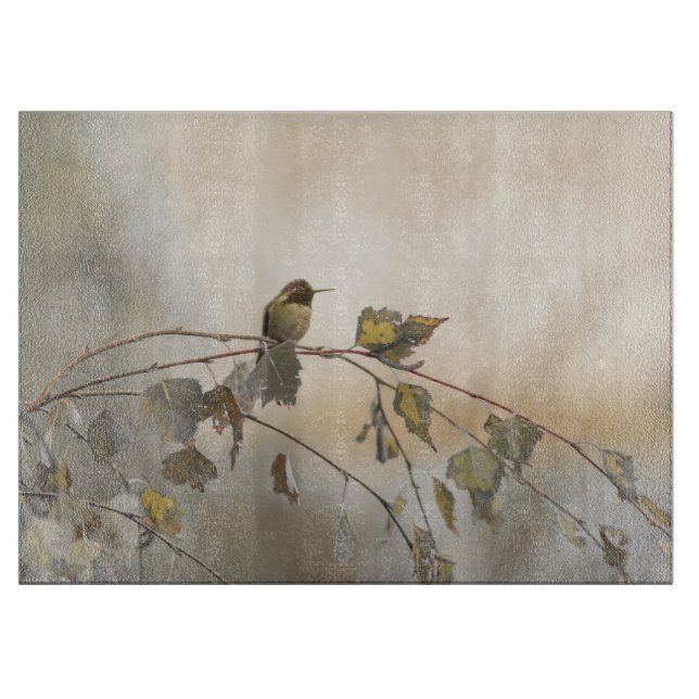 Hummingbird 5265 (Framsidan)