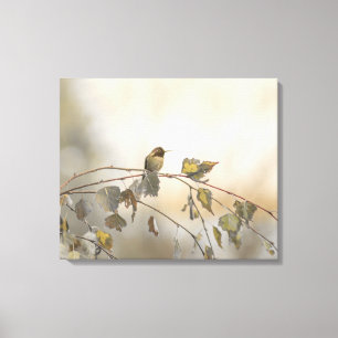 Hummingbird 5265 canvastryck