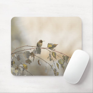 Hummingbird 5265 musmatta