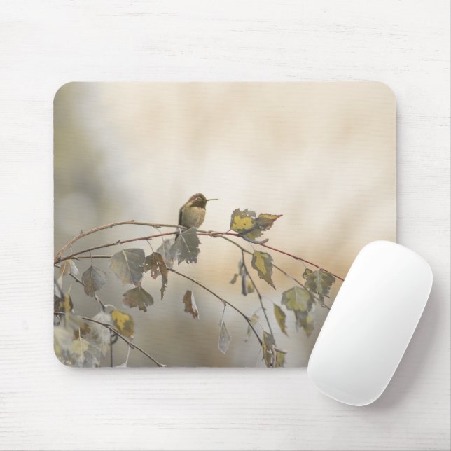 Hummingbird 5265 musmatta (Med mus)