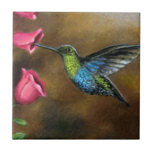 Hummingbird 571 kakelplatta