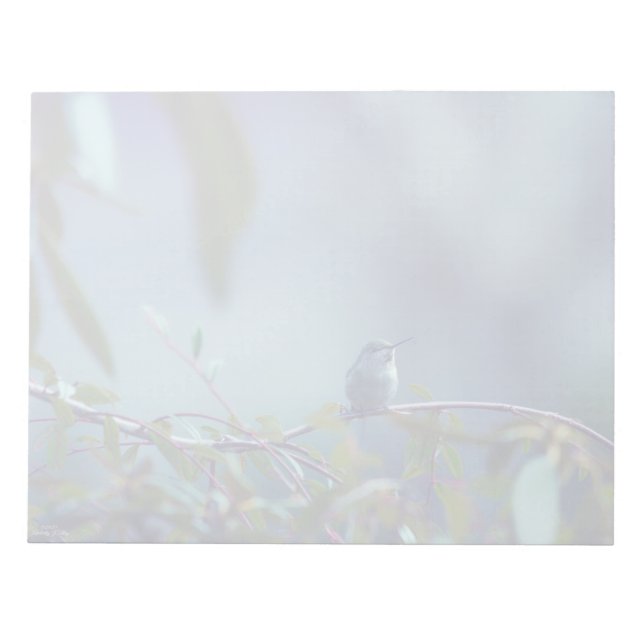 Hummingbird 5738 anteckningsblock (Framsida)