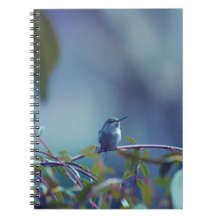 Hummingbird 5738 anteckningsbok
