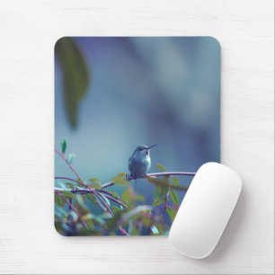 Hummingbird 5738 musmatta