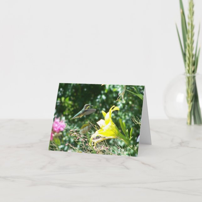 Hummingbird 5 kort (Framsida)