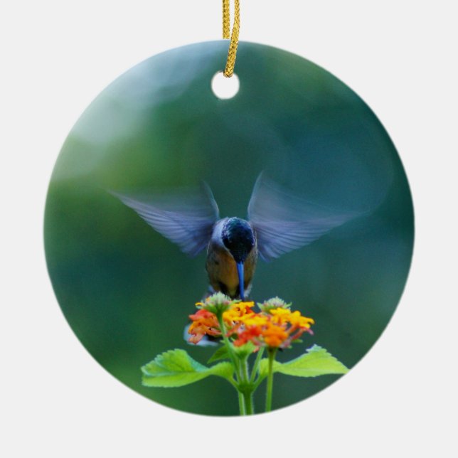 Hummingbird Angel Vingar Ornament (Framsidan)