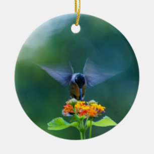 Hummingbird Angel Vinge Ornament