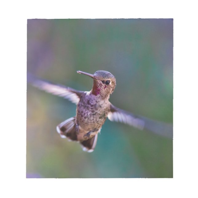Hummingbird Anteckningsblock (Framsida)