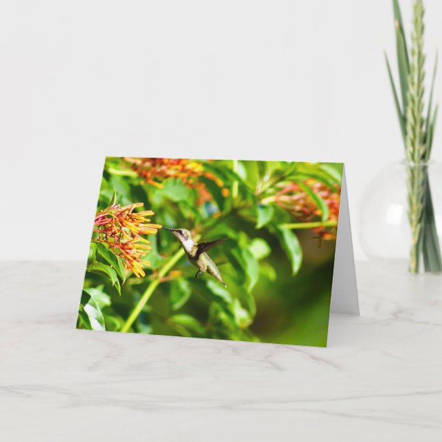 Hummingbird-anteckningskort<Blank Inside> Tack Kort (Framsida)