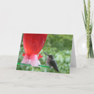 Hummingbird-anteckningskort Kort