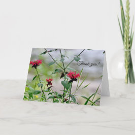 Hummingbird at Flowers - ADK Tack Kort