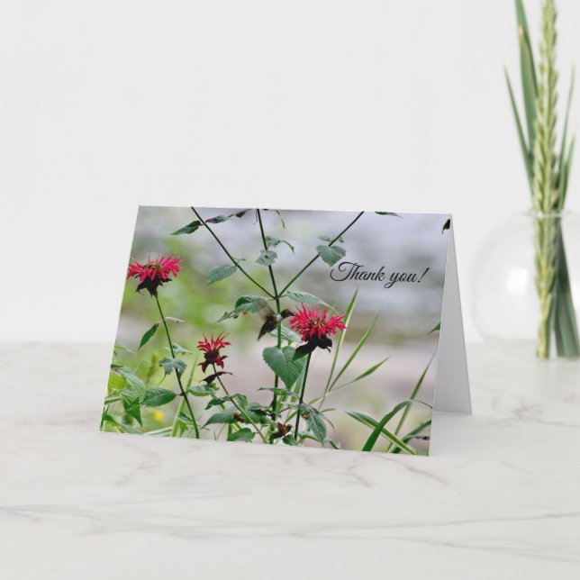 Hummingbird at Flowers - ADK Tack Kort (Framsida)