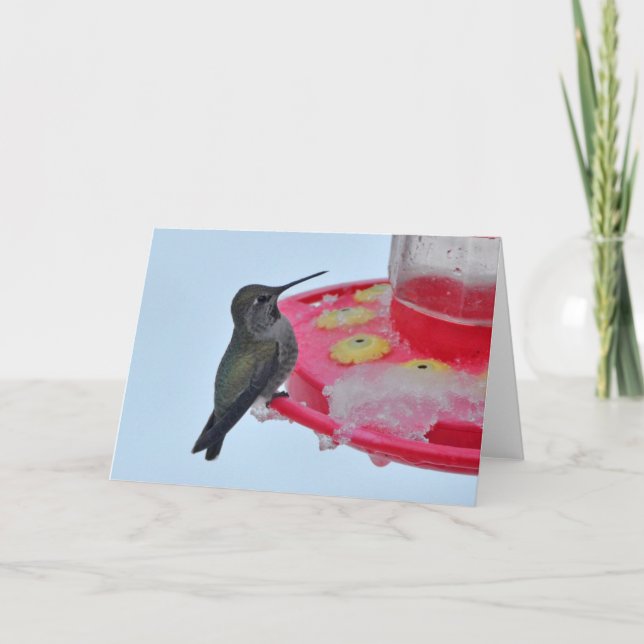 Hummingbird at Frozen Feeder - Framable Art Cards Kort (Framsida)