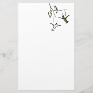 Hummingbird återanvänd brevpapper