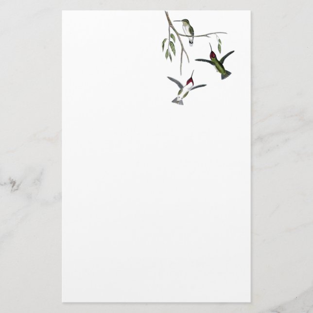 Hummingbird återanvänd brevpapper (Framsida)