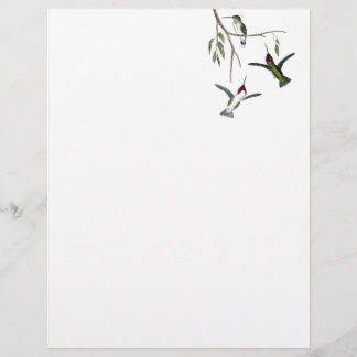 Hummingbird Återvunnet Letterhead