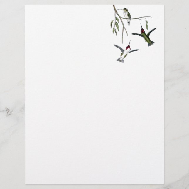 Hummingbird Återvunnet Letterhead (Framsida)