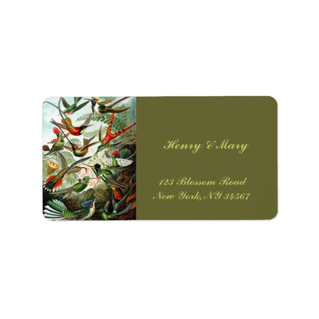 Hummingbird av Ernst Haeckel Adressetikett (Framsidan)