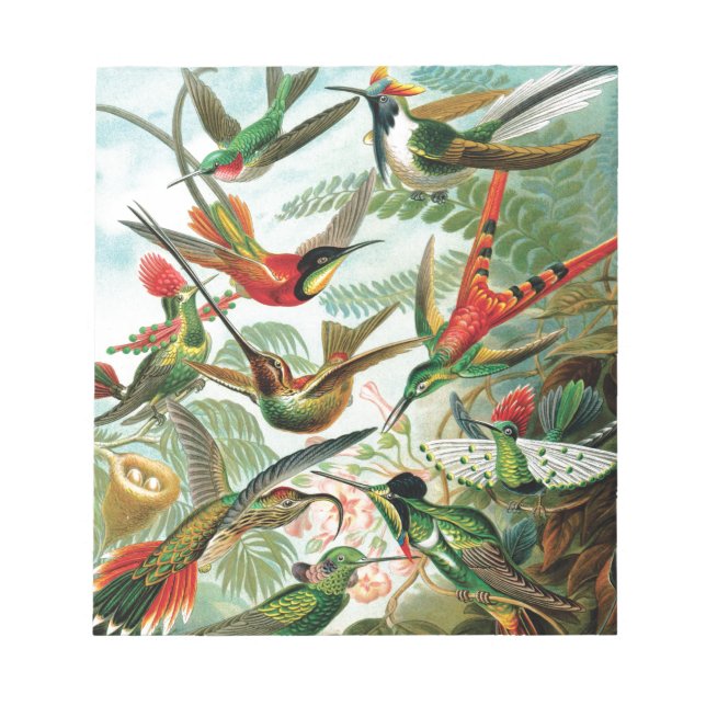 Hummingbird av Ernst Haeckel Anteckningsblock (Framsida)