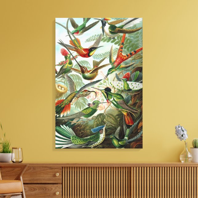 Hummingbird av Ernst Haeckel, Vintage Birds Träd Canvastryck (Insitu (Vardagsrum))