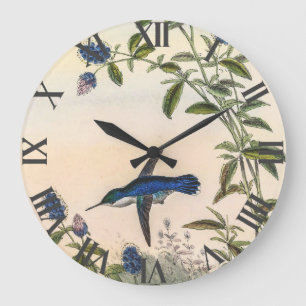 Hummingbird av John Gould Stor Klocka