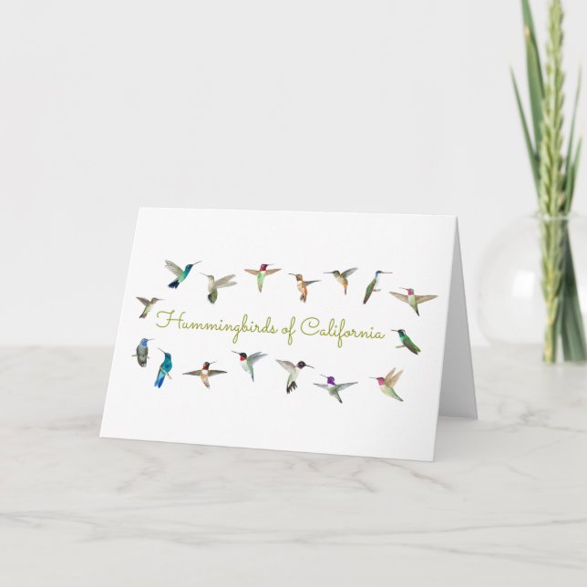 Hummingbird av Kaliforniens folktkort Kort (Framsida)