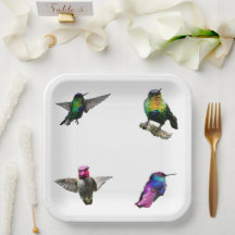 Hummingbird Bakgrund