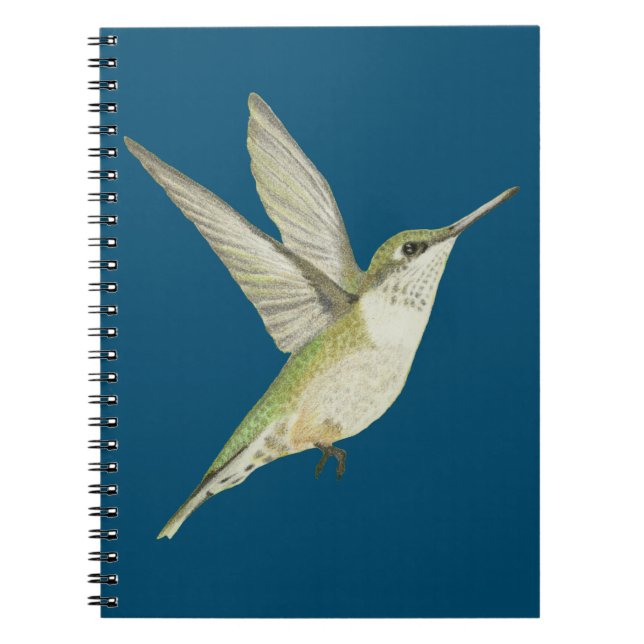 Hummingbird bärbar dator anteckningsbok (Framsidan)