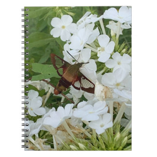 Hummingbird bärbar dator anteckningsbok