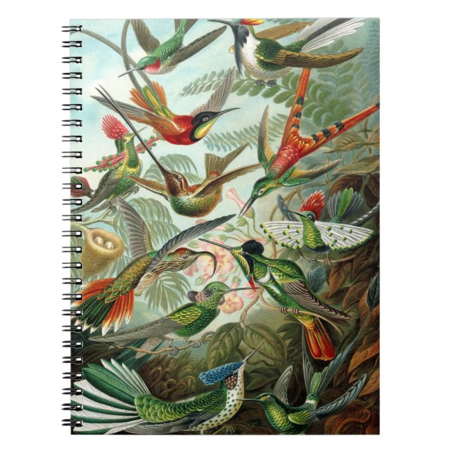 Hummingbird bärbar dator anteckningsbok med spiral (Framsidan)
