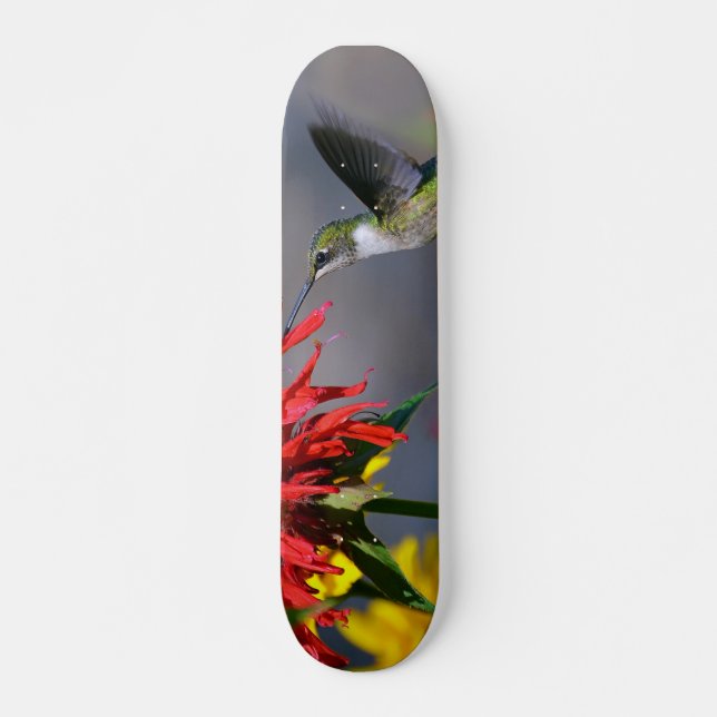Hummingbird Beauty Skateboard Bräda 20,5 Cm (Framsida)