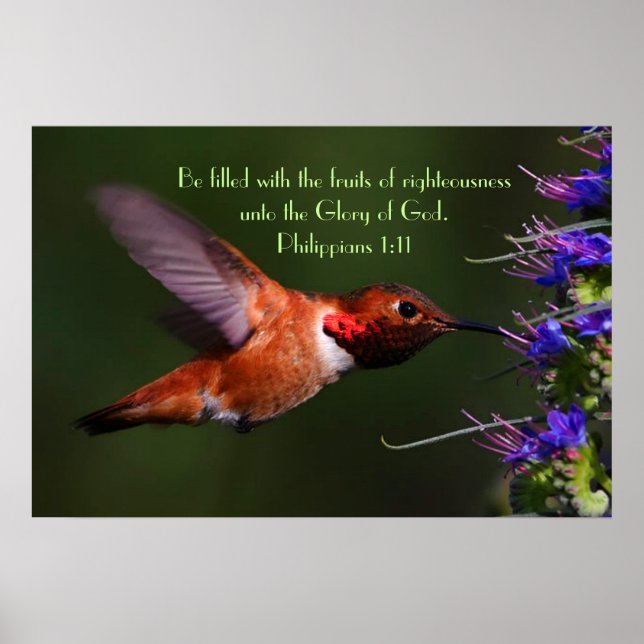 Hummingbird bible verse Philippians 1:11 Poster (Framsidan)