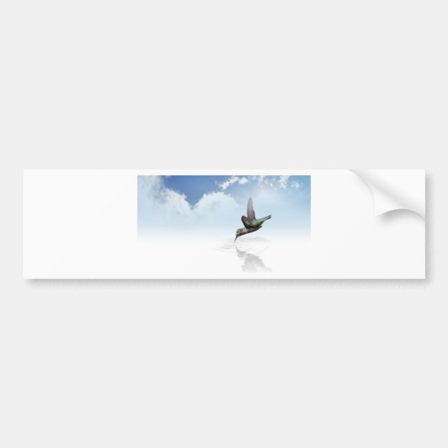Hummingbird Bildekal (Framsidan)