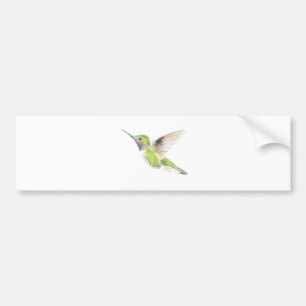 Hummingbird Bildekal