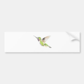 Hummingbird Bildekal