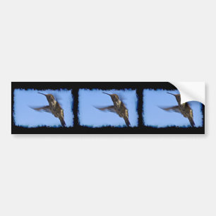 Hummingbird Bildekal