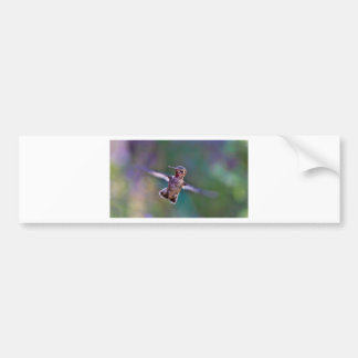 Hummingbird Bildekal