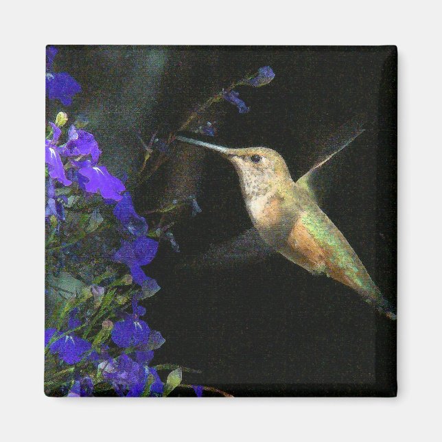 Hummingbird Bird Animal Wildlife Blommigt Magnet (Framsidan)