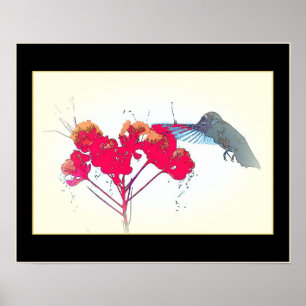 Hummingbird Bird Animal Wildlife Blommigt Poster