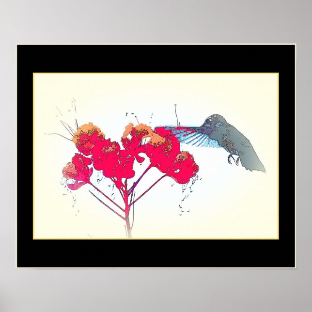 Hummingbird Bird Animal Wildlife Blommigt Poster (Framsidan)