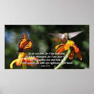 Hummingbird Bird Monarch Butterfly Poster
