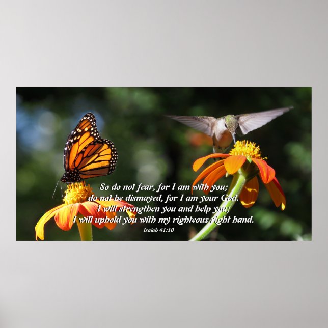 Hummingbird Bird Monarch Butterfly Poster (Framsidan)