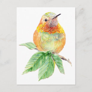 Hummingbird, Bird, Nature, Wildlife,Postkort Vykort
