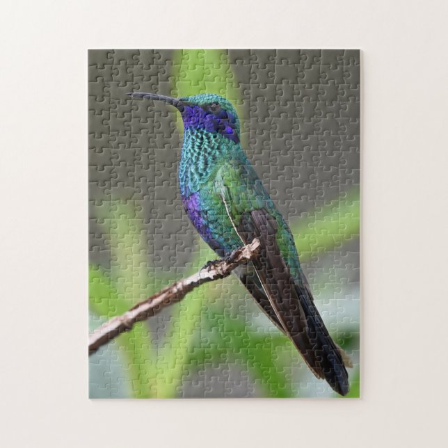 Hummingbird Bird Perched Beak Feathers Pussel (Vertikal)