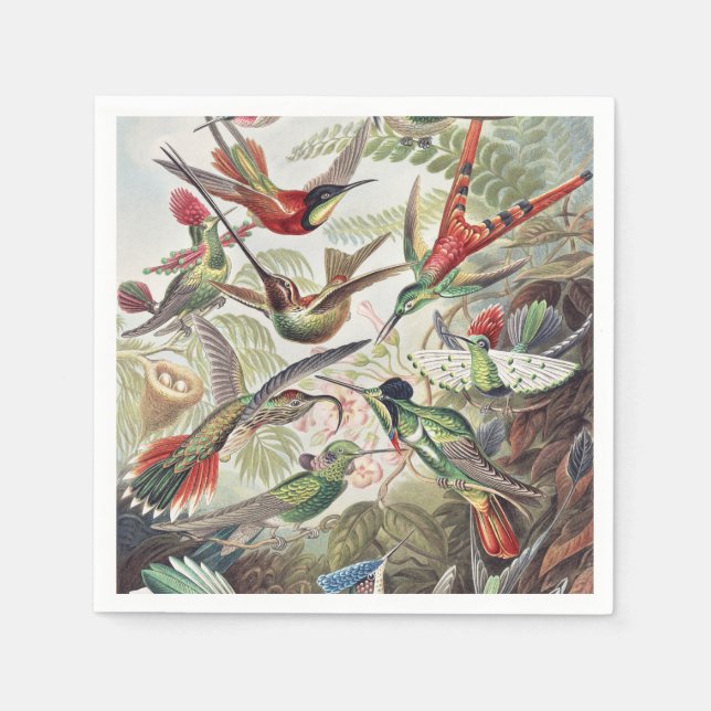 Hummingbird Bird Wildlife Classic Painting Pappersservett (Framsidan)