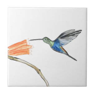 Hummingbird Bird Wildlife Watercolor Colorful Kakelplatta