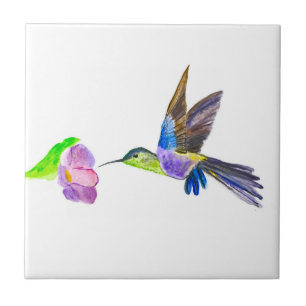 Hummingbird Bird Wildlife Watercolor Colorful Kakelplatta