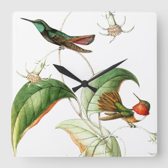Hummingbird Birds Blommigt Flowers Wall Clock Fyrkantig Klocka (Framsida)
